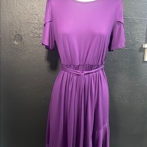 Elegant Purple Women's Dress